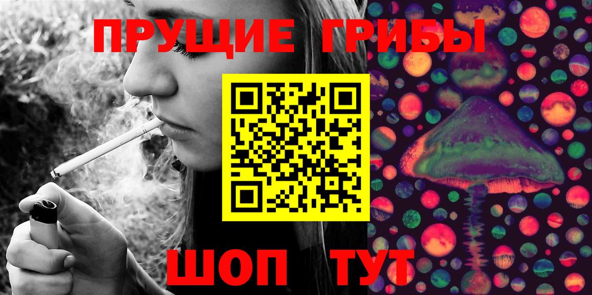 Псилоцибиновые грибы Cubensis Качканар