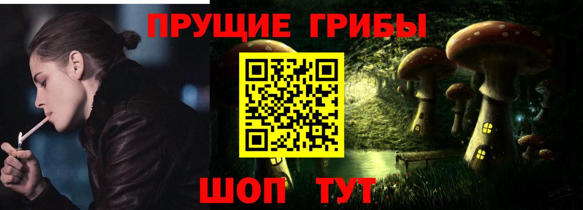 Качканар  Галлюциногенные грибы Psilocybine cubensis  Вход с VPN 