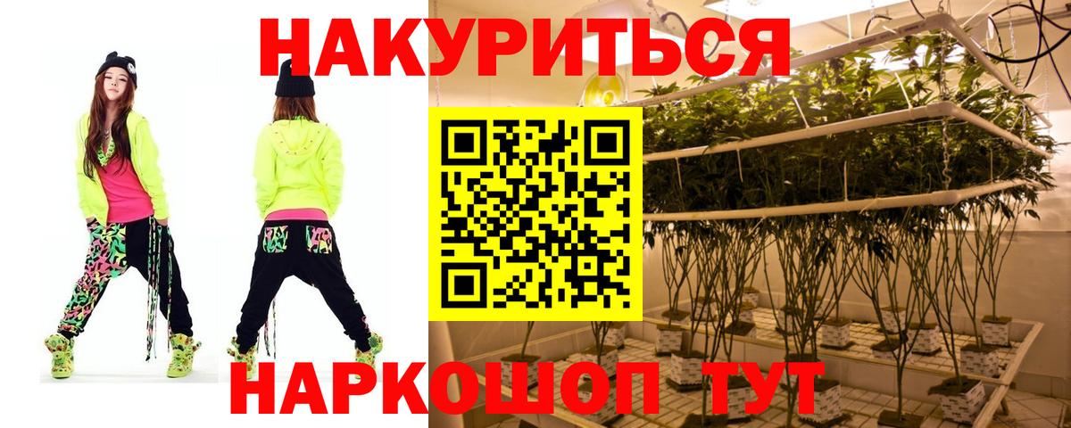 МАРИХУАНА планчик  Бошки марихуана конопля  Вход с VPN  Каннабис тримм  Качканар 